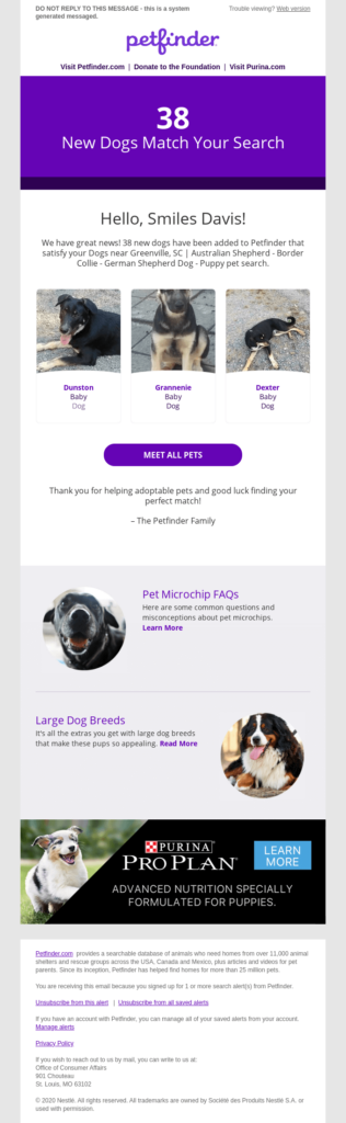 Personalized email from a pet company.